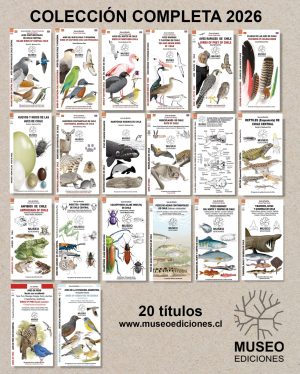 Colección Completa Museo Ediciones