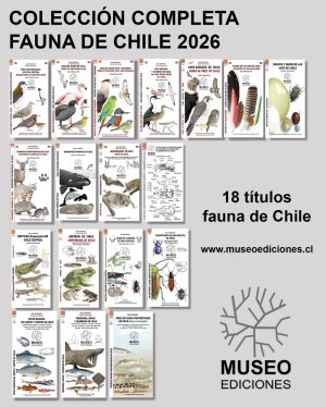 Colección Completa Museo Ediciones