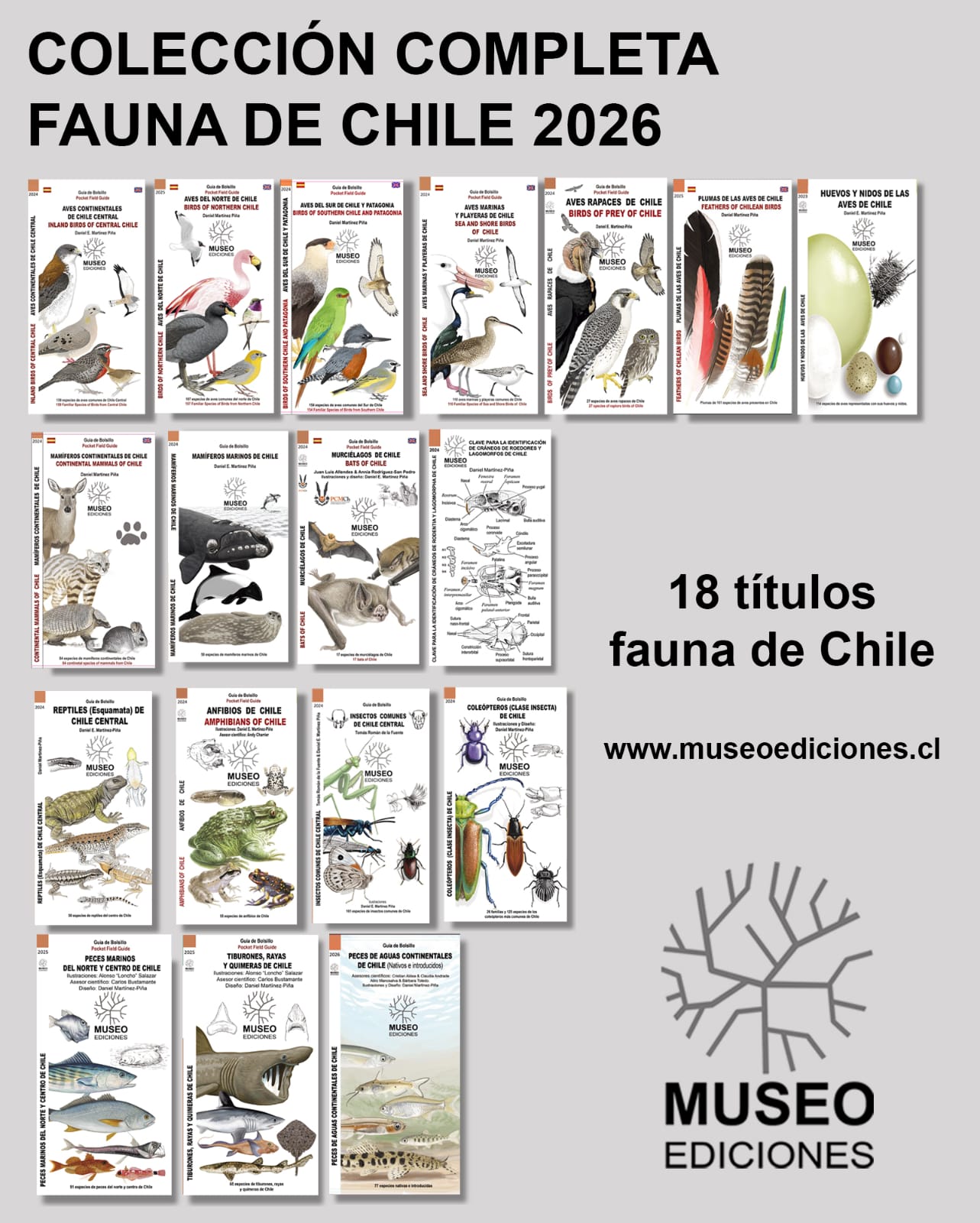 Colección Completa Museo Ediciones