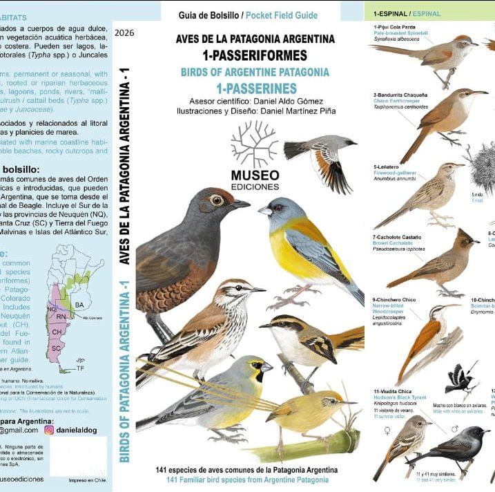 AVES DE LA PATAGONIA ARGENTINA - PASSERIFORMES