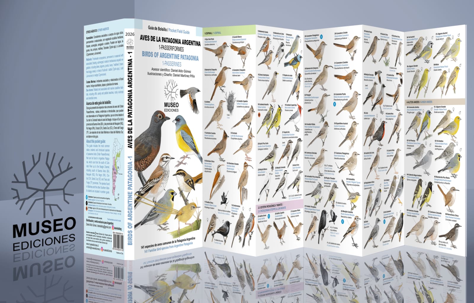 AVES DE LA PATAGONIA ARGENTINA - PASSERIFORMES - Imagen 2